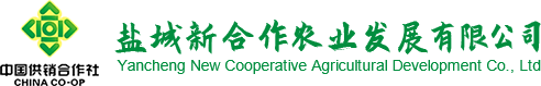 盐城市强泰精密机械有限公司